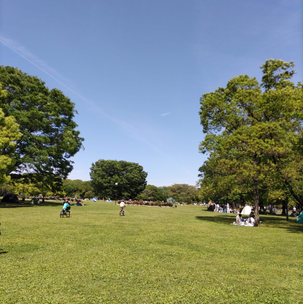 庄内緑地公園の広場